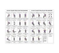 Póster de yoga en silla, tabla de guía de ejercicios sentado, 2 piezas, póster de ejercicios en silla, tabla de yoga sentado, diseño visual claro, para entrenamiento en casa, fitness para personas may