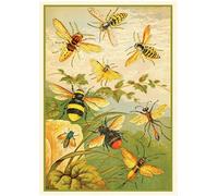 Póster decorativo para pared con texto en inglés «Save The Bees Bee Lover Bee Lover Bee Art» de 20,3 x 30,5 cm (n.º 591)