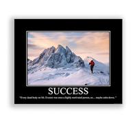 Póster desemotivacional de éxito, sarcástico y divertido póster sarcástico para decoración de pared de oficina, 11 x 14 pulgadas, sin marco