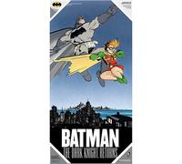 Poster Dk Ret Batman E Robin Poster Di Vetro Sd Toys