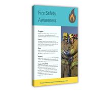 Póster educativo sobre seguridad contra incendios, 3 lienzos, decoración de pared, pinturas para sala de estar, dormitorio, decoración de 30 x 45 cm