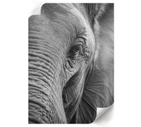Póster en Lienzo 42x59,4 cm | Tamaño A2 | La mirada del elefante