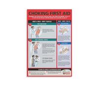 poster First Aid Chart for Choking Relief - Heimlich Maneuver Guide Wall Art Poster for Adults Baby Pregnancy - Modern Home Office Decor Canvas Painting(Framed,12x18inch(30x45cm))