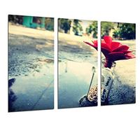 Poster Fotográfico Mensaje en una Botella de Amor Tamaño total: 97 x 62 cm XXL