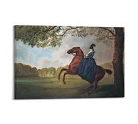 Póster impreso de George Stubbs, diseño de Lady Leidy sobre caballos árabes, arte de pared, lienzo de pergamino, cuadro de pintura para sala de estar, decoración del hogar, 60 x 90 cm