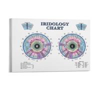 poster Iris Eye Diagram Art Print - Abstract Human Eye Biology Poster, Modern Canvas Wall Decor for Living Room, Office Waiting Room & Artistic Spaces(Unframed,12x18inch(30x45cm))