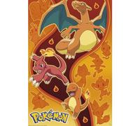 Poster Maxi Pokémon Type Feu