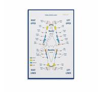 poster Pet Lover Gift Idea: Canine & Feline Dental Anatomy Chart Poster - Veterinary Inspired Wall Decor for Home and Office(Framed,12x18inch(30x45cm))
