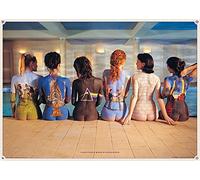 Póster Pink Floyd "Pintura Corporal/ Portadas de los Álbumes" (91,5cm x 61cm)