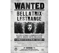 Poster Revolution Harry Potter (Bellatrix Wanted) Movie Poster