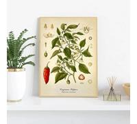 Póster vintage botánico de cocina, lienzo impreso, pintura de limón, pimienta negra, plantas medicinales, arte de pared, imágenes para decoración del hogar, 60 x 80 cm, sin marco