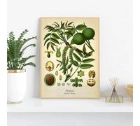 Póster vintage botánico de cocina, lienzo impreso, pintura de limón, pimienta negra, plantas medicinales, arte de pared, imágenes para decoración del hogar, 70 x 100 cm, sin marco