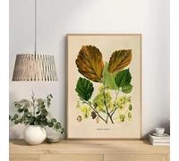 Póster vintage de árbol de tamarindo, uña de caballo, ilustración botánica, impresiones en lienzo, pintura, arte de pared, imágenes HD, decoración del hogar (50 x 75 cm)