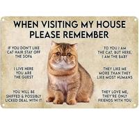Póster vintage de metal y aluminio con la frase "Cuando visites mi casa, recuerda a los gatos, amantes de los apartamentos", 8 x 6 pulgadas, decoración de pared