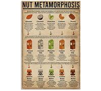 Póster vintage de metamorfosis de nueces, guía de divulgación científica, letrero de metal y aluminio, decoración de pared de 20 x 15 cm.