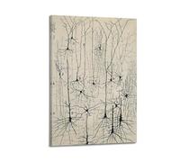 Póster vintage de neuronas de Santiago Ramon Y Cajal, arte de pared con anatomía cerebral antigua, lienzo para decoración de pared, foto para el hogar, decoración moderna, 40 x 60 cm