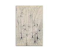 Póster vintage de neuronas de Santiago Ramón y Cajal, arte de pared con diseño de anatomía cerebral antigua, impresiones artísticas para pared, cuadros fotográficos, decoración del hogar, 20 x 30 cm
