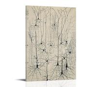 Póster vintage de neuronas de Santiago Ramon Y Cajal con diseño antiguo de anatomía cerebral para pared, lienzo para sala de estar, decoración de dormitorio, obras de arte de 60 x 90 cm