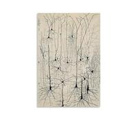 Póster vintage de neuronas de Santiago Ramón y Cajal con diseño de anatomía cerebral antigua, arte de pared y arte de pared, decoración moderna de dormitorio familiar, 20 x 30 cm