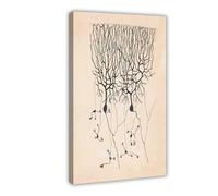 Póster vintage de neuronas de Santiago Ramon Y Cajal para dormitorio, lienzo decorativo para pared, oficina, habitación, decoración estética, marco de regalo, 40 x 60 cm
