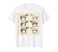 Póster Vintage de Razas de Caballos para Mujeres y niñas Camiseta