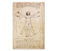 Postereck - 0125 - Dibujo de Leonardo da Vinci (Salud Humana) - Arte de Pared Lámina, Impresión Educativa, Arte Clásico - Poster - 3:2 61,0 cm x 40,5 cm