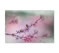 Postereck - 1368 - Flores de Cerezo, Árbol, Flora, Primavera, Naturaleza - Impresión Lámina Arte de Pared, Decoración Floral, Estilo Japonés - Poster - 3:2 30,0 cm x 20,0 cm