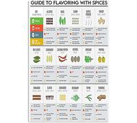 Pósteres con consejos sobre especias: Guía para sazonar con especias. Letreros metálicos. Decoración para la cocina y el hogar. Decoración para el club de divulgación científica. Placa vintage impres