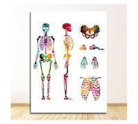 Pósteres con imagen de oficina educación médica, pintura en lienzo, sistema muscular anatomía humana, impresión artística, figura acuarela(14,15X20cm No Frame)