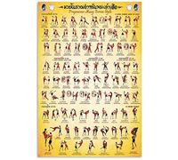 Pósteres de Muay Thai Prajowsear - Pósteres infográficos de Muay Boran - Placa para casa, club, cueva, garaje, decoración de pared, 30 x 40 cm