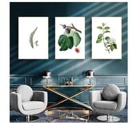 Pósteres e impresiones botánicos vintage en lienzo, cuadros de pared para cocina, plantas medicinales, pintura en lienzo para decoración del hogar, 50 x 70 cm, 3 piezas, sin marco