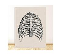 Pósteres e impresiones Vintage, decoración de oficina Doctor, esqueleto, calavera anatómica, pintura en lienzo, arte pared anatomía humana, Hospital(3165-06,25x35cm No Frame)