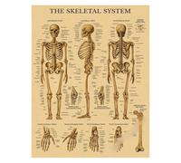 Pósteres Retro de sistemas órganos en el cuerpo humano, impresiones papel Kraft anatomía del esqueleto, pinturas decoración atística pared Vintage for la habitación hogar DIY(4,A4 8.3x11.8inch)
