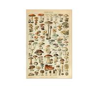 Pósteres Vintage con estampado de setas y frutas vegetales, arte pared antiguo, imágenes botánicas, póster ciencia, papel Kraft sin marco(D,A4 21x30cm No Frame)