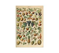 Pósteres Vintage con estampado de setas y frutas vegetales, arte pared antiguo, imágenes botánicas, póster ciencia, papel Kraft sin marco(F,50x75cm No Frame)