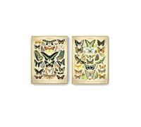 Pósteres Vintage con estampado de setas y frutas vegetales, arte pared antiguo, imágenes botánicas, póster ciencia, papel Kraft sin marco(Two Pictures,50x70cm No Frame)
