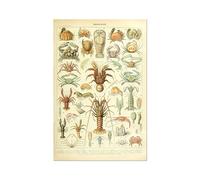 Pósteres Vintage con estampado de setas y frutas vegetales, arte pared antiguo, imágenes botánicas, póster ciencia, papel Kraft sin marco(K,A4 21x30cm No Frame)