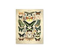 Pósteres Vintage con estampado de setas y frutas vegetales, arte pared antiguo, imágenes botánicas, póster ciencia, papel Kraft sin marco(B,A3 30x42cm No Frame)