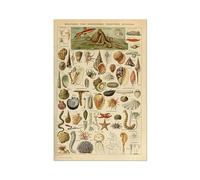 Pósteres Vintage con estampado de setas y frutas vegetales, arte pared antiguo, imágenes botánicas, póster ciencia, papel Kraft sin marco(H,15x20cm No Frame)