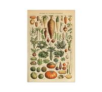 Pósteres Vintage con estampado de setas y frutas vegetales, arte pared antiguo, imágenes botánicas, póster ciencia, papel Kraft sin marco(G,13x18cm No Frame)