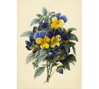 POSTERIIk Famoso Mural Fotos Prints sobre Lienzo Pensamientos de Pierre Redouté Para la Decoración de la Oficina 60x90cm