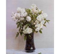 POSTERIIk Famoso Painting Cuadro Póster retro para Le rose delle fate di Henri Fantin-latour Para la Decoración del Hogar 60x90cm