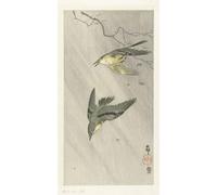POSTERIIk Pinturas Famosas impresion Pared Arte cuadros de lienzo Due pavoni sul ramo di un albero di Ohara Koson Para la Decoración del Hogar 60x90cm