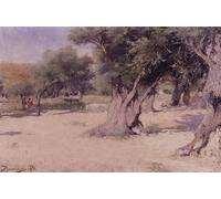 POSTERIIk Pinturas Famosas impresion Pared Arte cuadros de lienzo Ulivi in Terra Santa di Vasilij Dmitrievich Polenov Para la Decoración de la Oficina 60x90cm