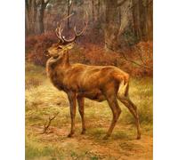 POSTERIIk Pinturas Famosas moderno lienzo Impresión de Imagen Cervo in un paesaggio autunnale di Rosa Bonheur Para la Decoración de la Oficina 60x90cm