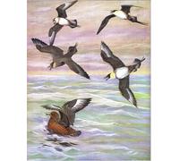 POSTERIIk Pinturas Famosas Painting Cuadro Póster retro para Ilustración de la Historia Natural de las Aves de Oriente de Louis Agassiz Fuertes Para la Decoración del Hogar 60x90cm