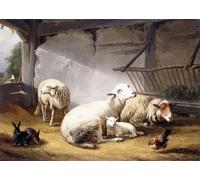 POSTERIIk Pinturas Famosas Painting Cuadro Póster retro para Ovejas y una gallina en un granero de Eugene Verboeckhoven Para la Decoración del Hogar 60x90cm