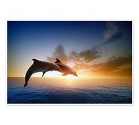 Posterlounge Delfines al atardecer Póster