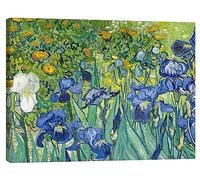 Posterlounge Iris Lienzo de Vincent van Gogh 40 x 30 cm Verde Cuadros Decoración para la pared