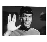 Posterlounge Mr. Spock - Star Trek Cuadro de metacrilato 21 x 14 cm Blanco y negro Cuadros Decoración para la pared